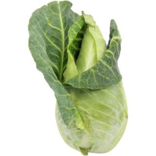 Spitzkohl