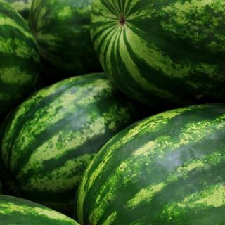 Mini-Wassermelonen